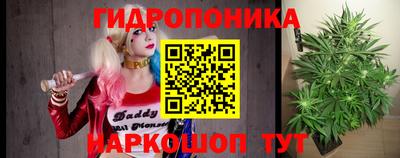 эйфоретик Новодвинск