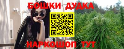 трава Новозыбков