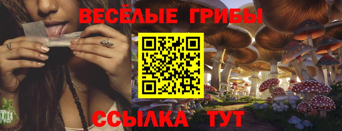 Советск  Псилоцибиновые грибы мицелий  Вход с VPN 